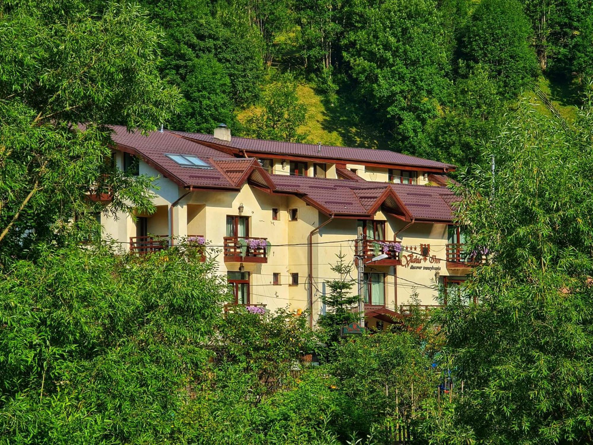 Pensiunea Vlahia Inn Moeciu De Sus Exterior photo